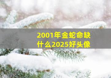 2001年金蛇命缺什么2025好头像