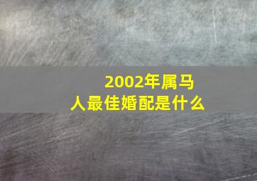 2002年属马人最佳婚配是什么