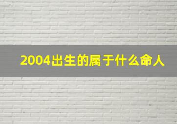 2004出生的属于什么命人