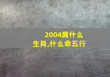 2004属什么生肖,什么命五行