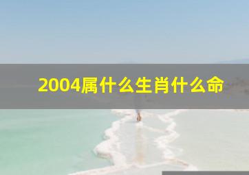 2004属什么生肖什么命