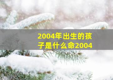 2004年出生的孩子是什么命2004