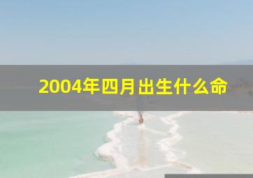 2004年四月出生什么命