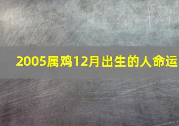 2005属鸡12月出生的人命运