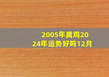 2005年属鸡2024年运势好吗12月