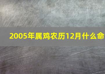 2005年属鸡农历12月什么命