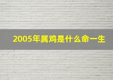 2005年属鸡是什么命一生