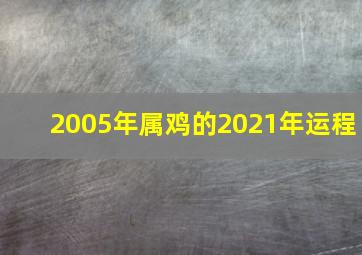 2005年属鸡的2021年运程