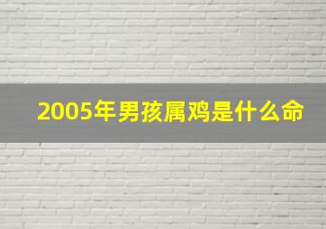 2005年男孩属鸡是什么命