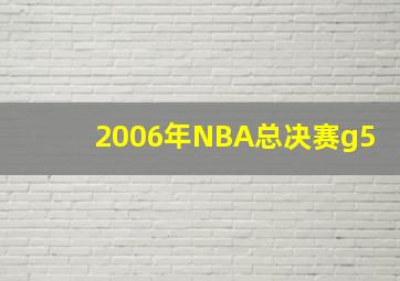 2006年NBA总决赛g5