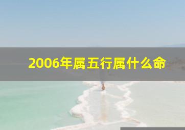 2006年属五行属什么命