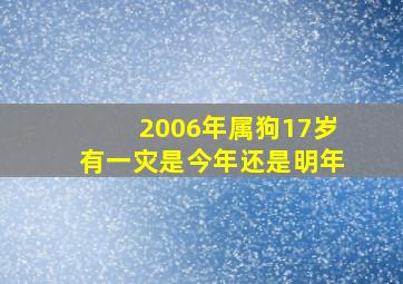 2006年属狗17岁有一灾是今年还是明年