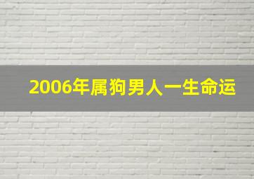 2006年属狗男人一生命运