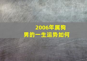 2006年属狗男的一生运势如何