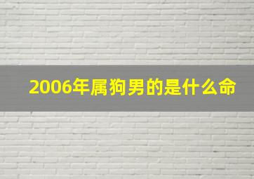 2006年属狗男的是什么命