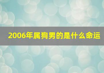 2006年属狗男的是什么命运