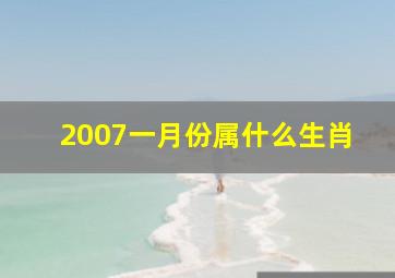 2007一月份属什么生肖