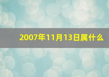 2007年11月13日属什么