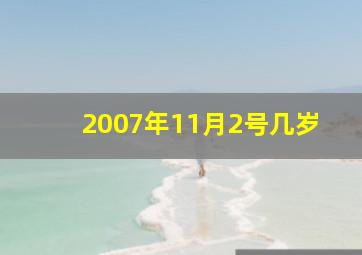 2007年11月2号几岁