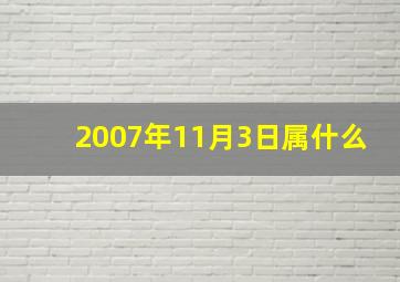 2007年11月3日属什么