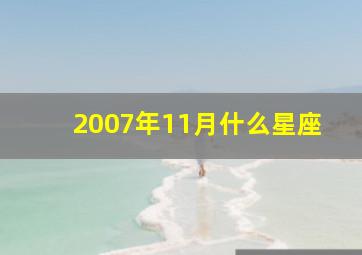 2007年11月什么星座