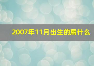 2007年11月出生的属什么