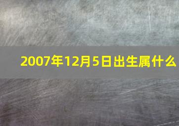 2007年12月5日出生属什么