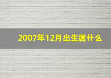 2007年12月出生属什么