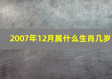 2007年12月属什么生肖几岁