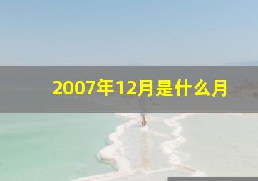 2007年12月是什么月