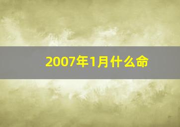 2007年1月什么命