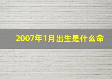 2007年1月出生是什么命