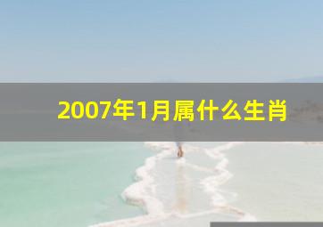 2007年1月属什么生肖