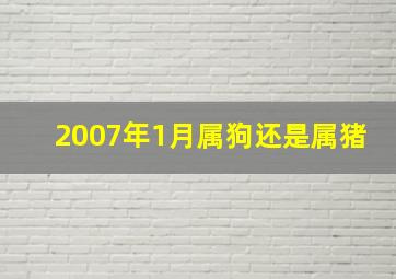 2007年1月属狗还是属猪