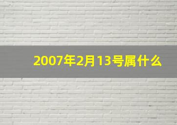 2007年2月13号属什么