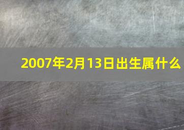 2007年2月13日出生属什么