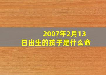 2007年2月13日出生的孩子是什么命