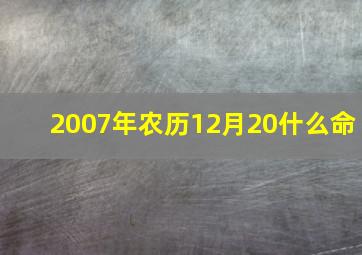 2007年农历12月20什么命