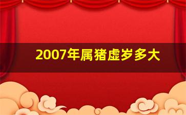 2007年属猪虚岁多大