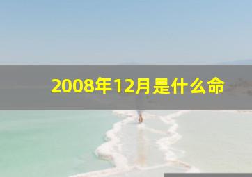 2008年12月是什么命