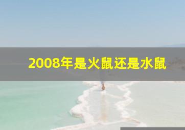 2008年是火鼠还是水鼠