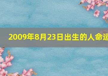 2009年8月23日出生的人命运