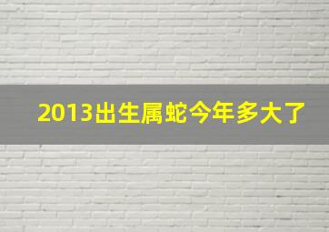 2013出生属蛇今年多大了