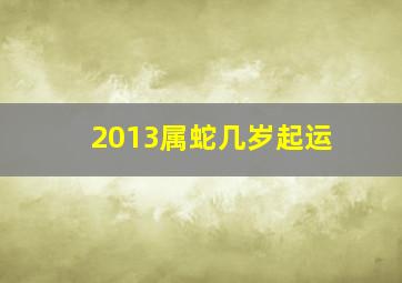 2013属蛇几岁起运