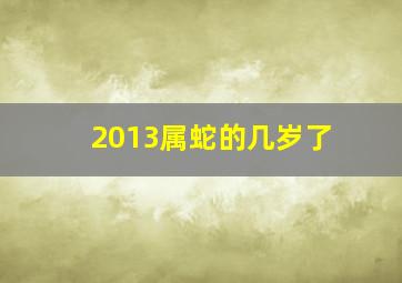 2013属蛇的几岁了