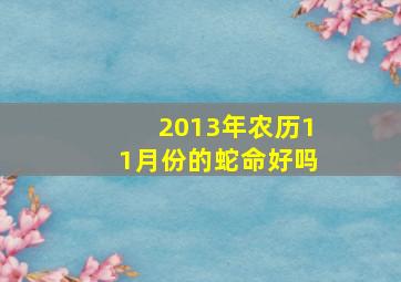 2013年农历11月份的蛇命好吗