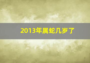 2013年属蛇几岁了