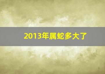 2013年属蛇多大了