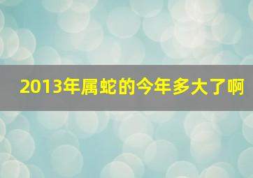 2013年属蛇的今年多大了啊