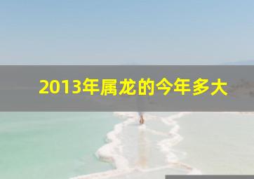 2013年属龙的今年多大